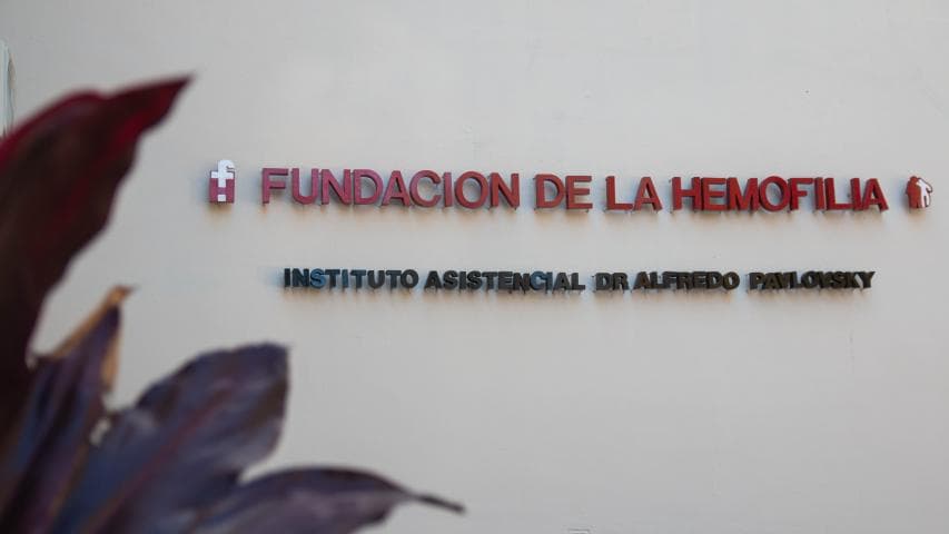 Fundación de la Hemofilia